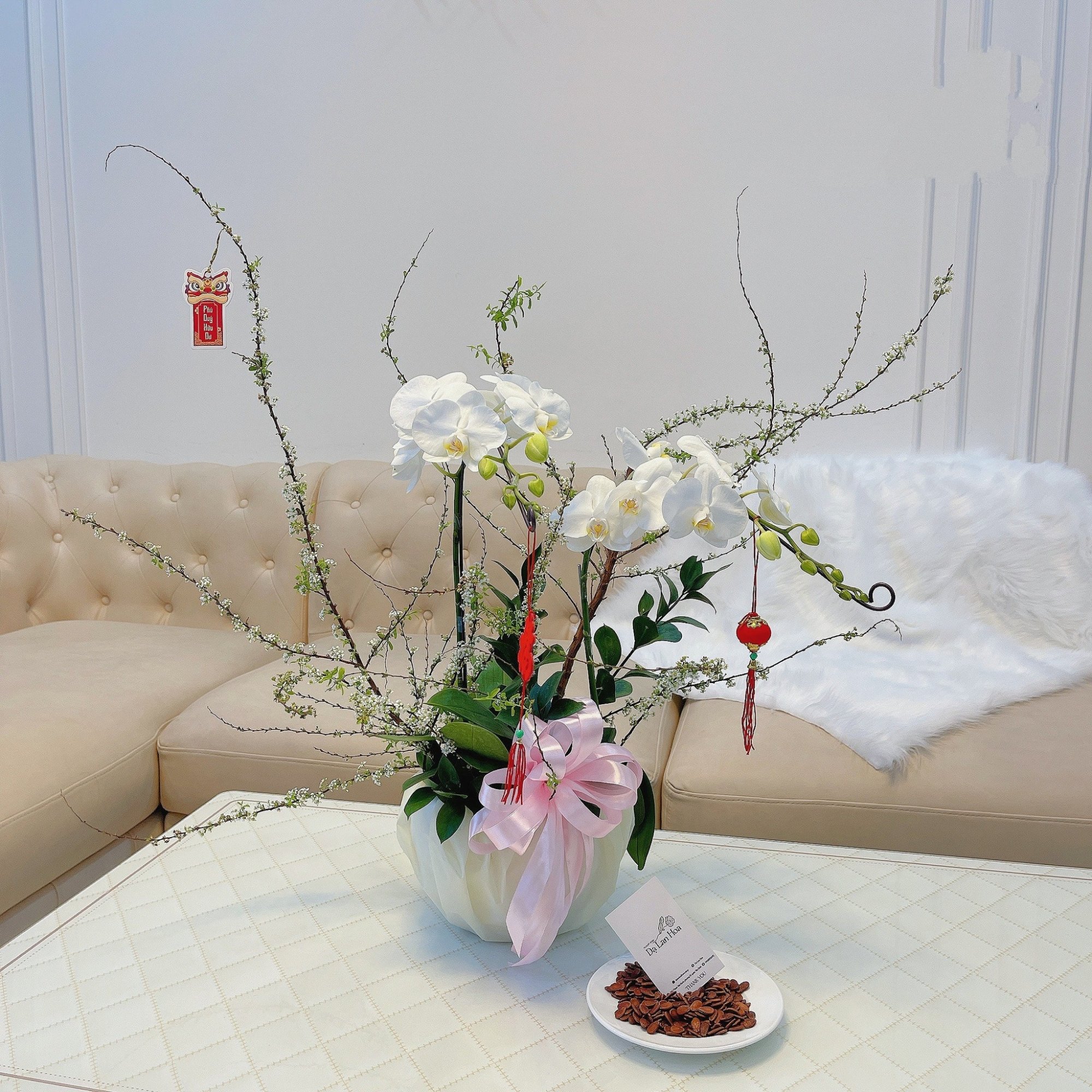 Chậu lan hồ điệp 3 cánh