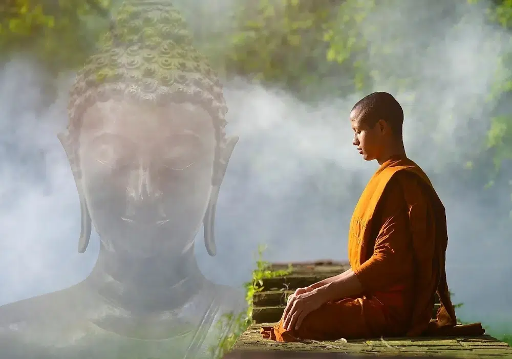 Quy định sử dụng